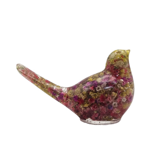 Bird Colorful Medium #192 ציפור קטנה