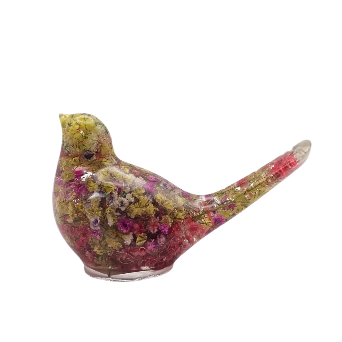 Bird Colorful Medium #192 ציפור קטנה