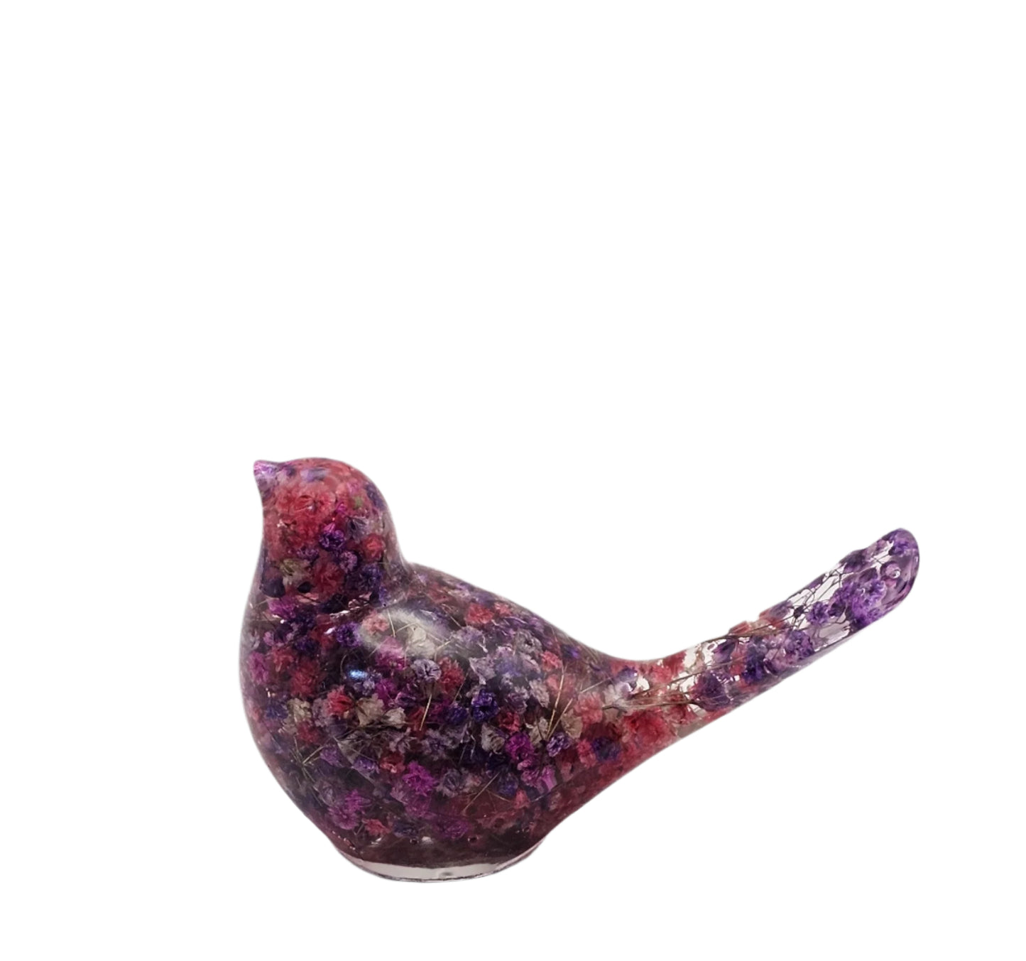 Bird Colorful Large #191 ציפור גדולה