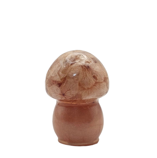Mushroom Small1 #188 פטריה קטנה