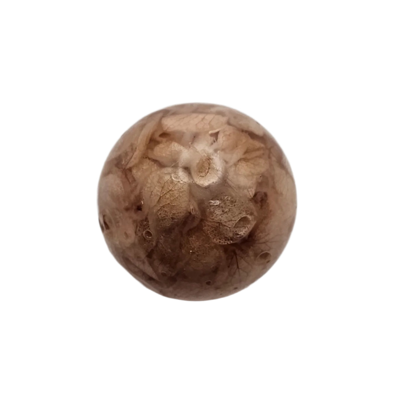 Mushroom Small1 #188 פטריה קטנה