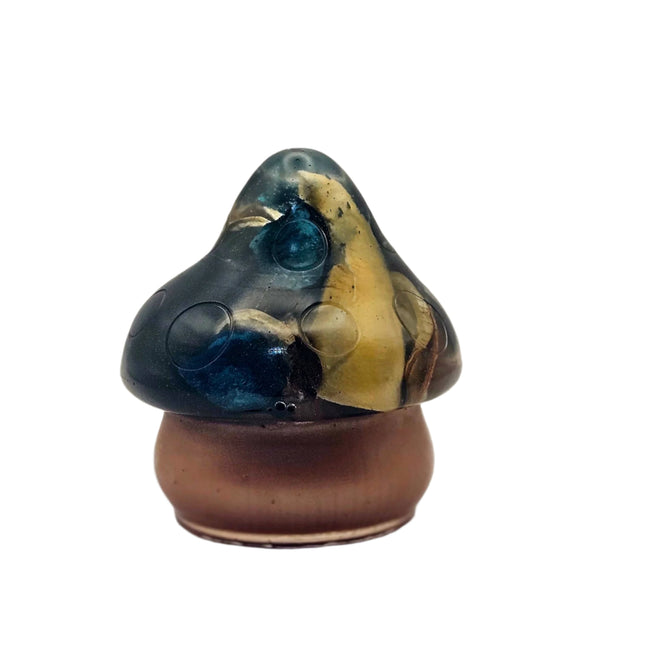 פטריה בינונית