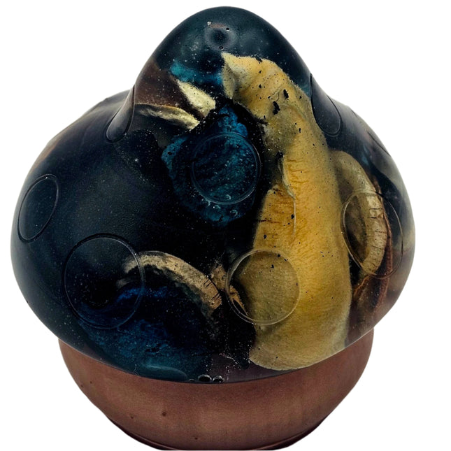 פטריה בינונית