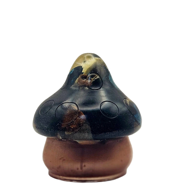 פטריה בינונית