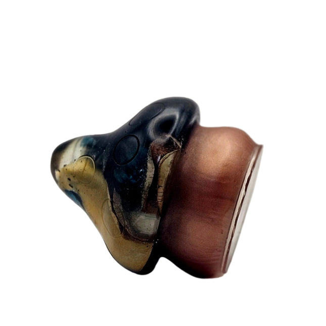 פטריה בינונית