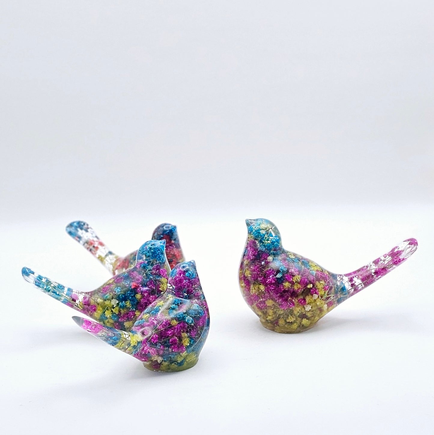 Bird Colorful Medium #182 ציפור קטנה