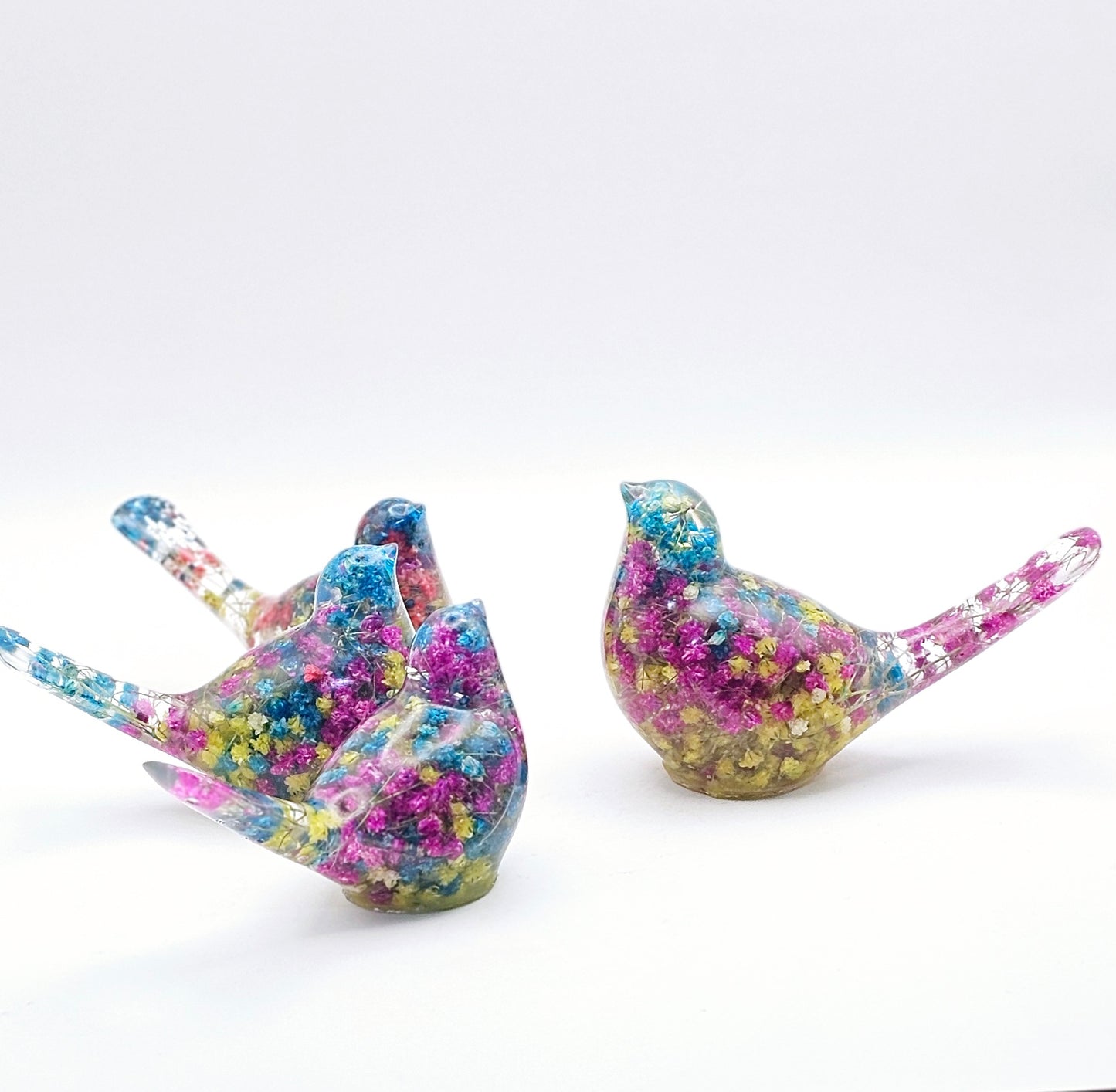 Bird Colorful Large #208 ציפור גדולה