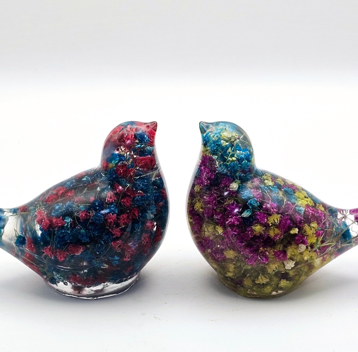 Bird Colorful Large #206 ציפור גדולה