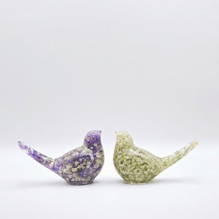 ציפור גדולה