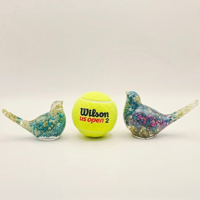 ציפור גדולה