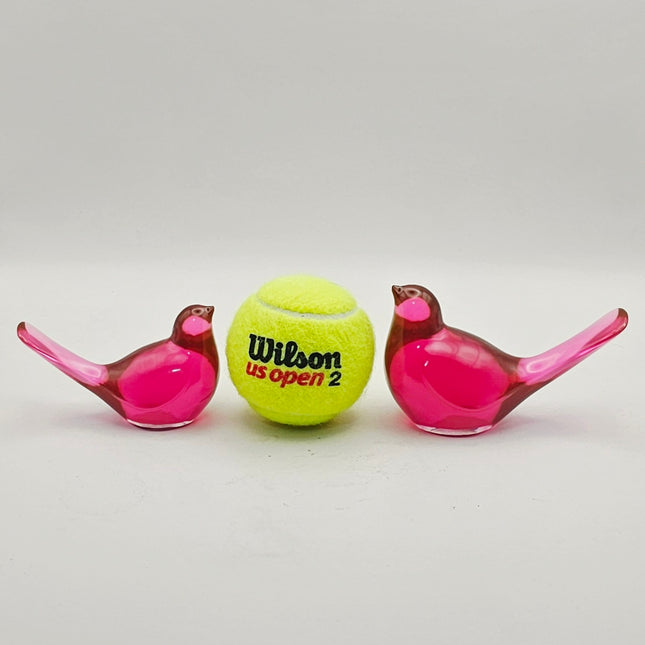 ציפור גדולה