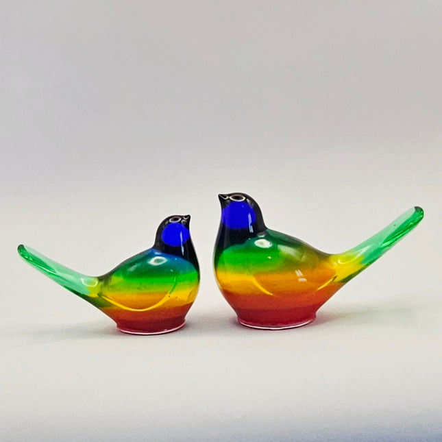 סט ציפורים - קשת בענן