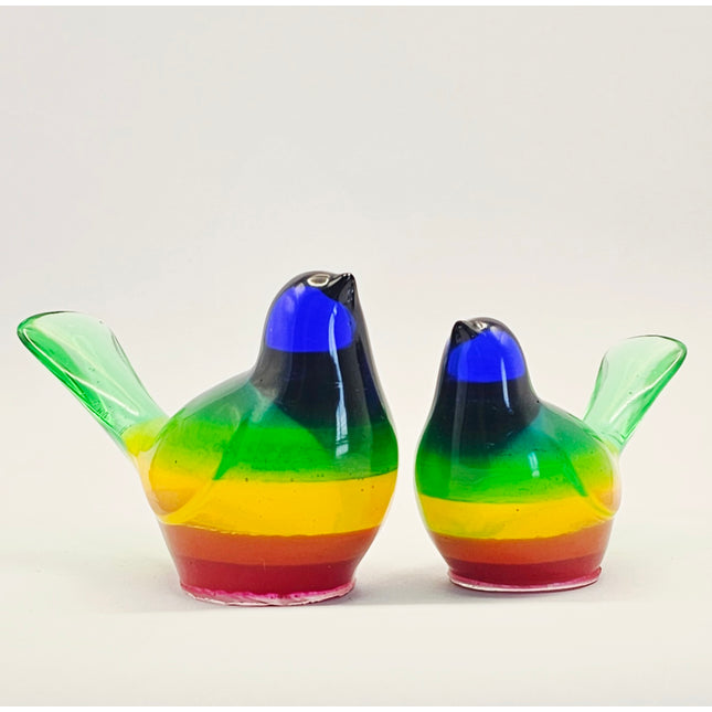 סט ציפורים - קשת בענן