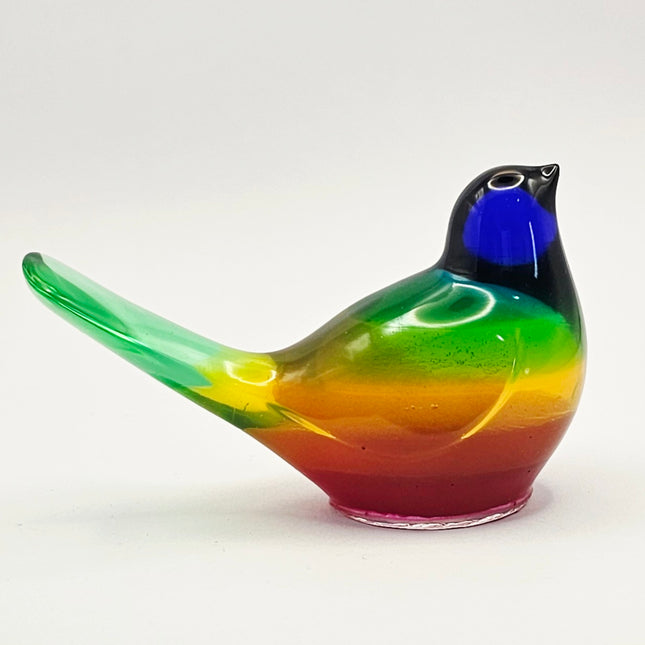 סט ציפורים - קשת בענן