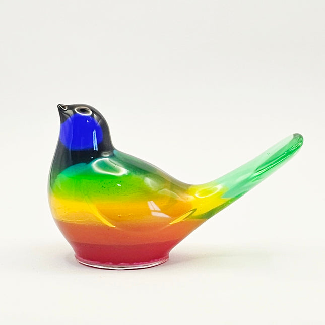 סט ציפורים - קשת בענן