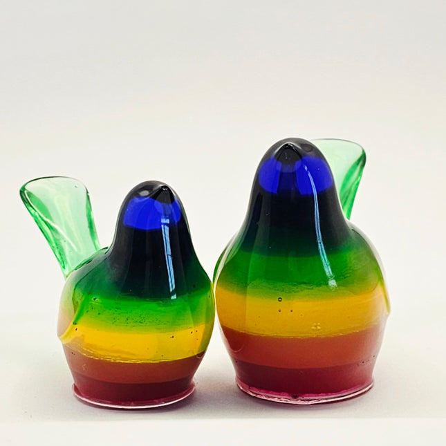 סט ציפורים - קשת בענן