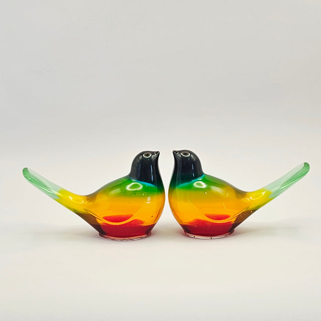 סט ציפורים - קשת בענן