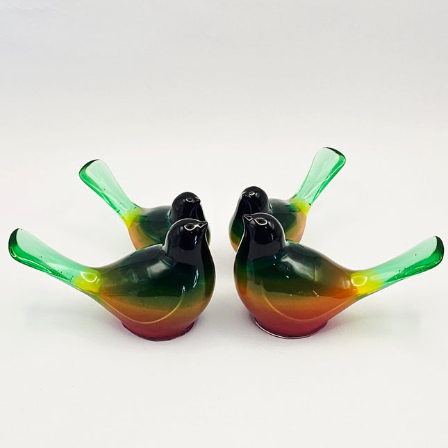 סט ציפורים - קשת בענן