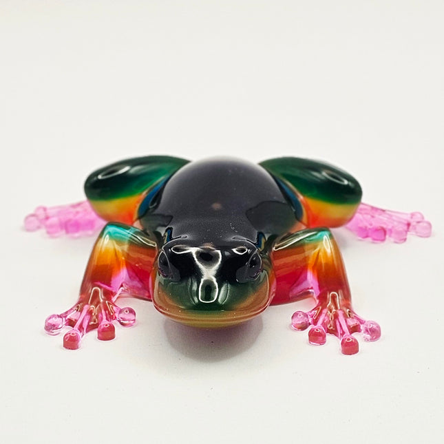 צפרדע מאפוקסי