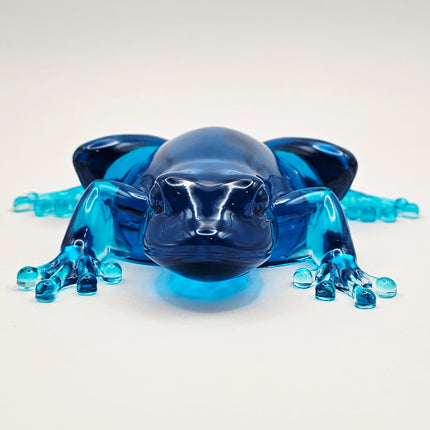 צפרדע מאפוקסי