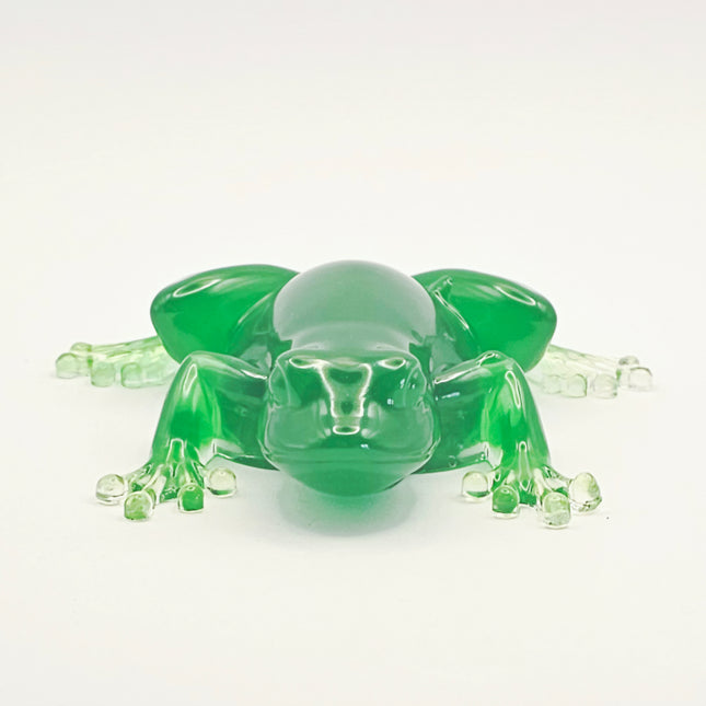 צפרדע מאפוקסי