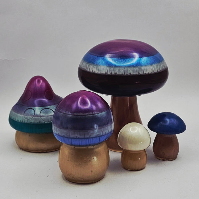 סט פטריות - קסם