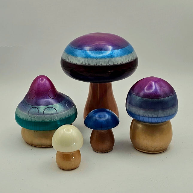 סט פטריות - קסם