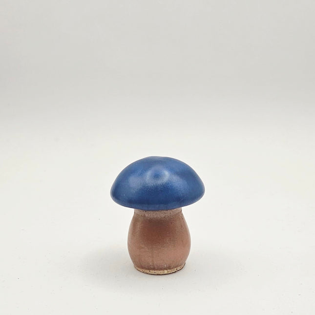 סט פטריות - קסם