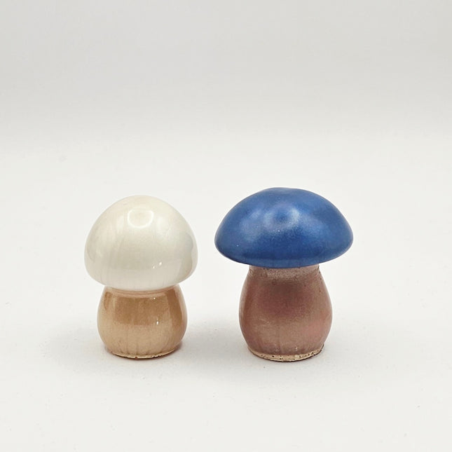 סט פטריות - קסם