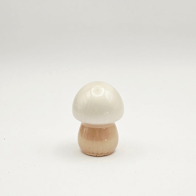 סט פטריות - קסם