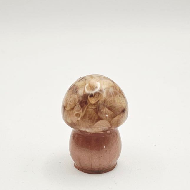 סט פטריות - יער כחול